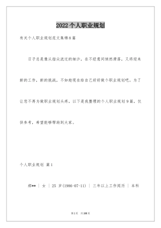 2024个人职业规划_211