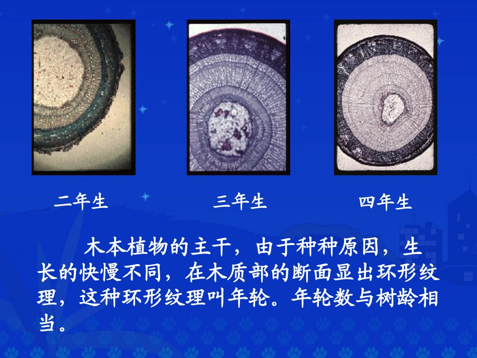《院子里的悄悄话》课堂演示课件_第3页