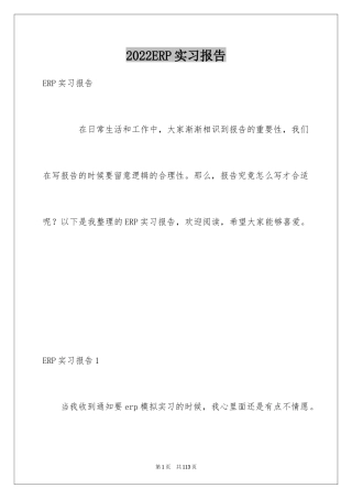 2024ERP实习报告