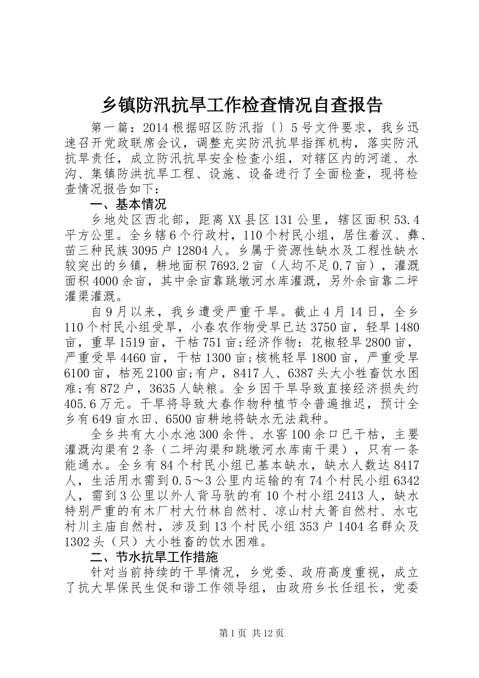 乡镇防汛抗旱工作检查情况自查报告_第1页