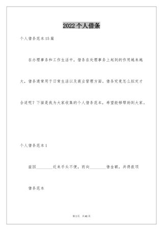2024个人借条_1