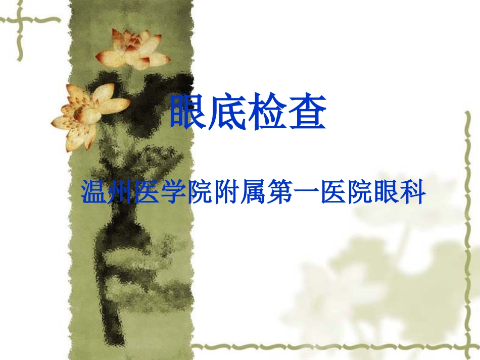 眼压及眼底检查_第1页