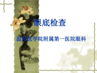 眼压及眼底检查