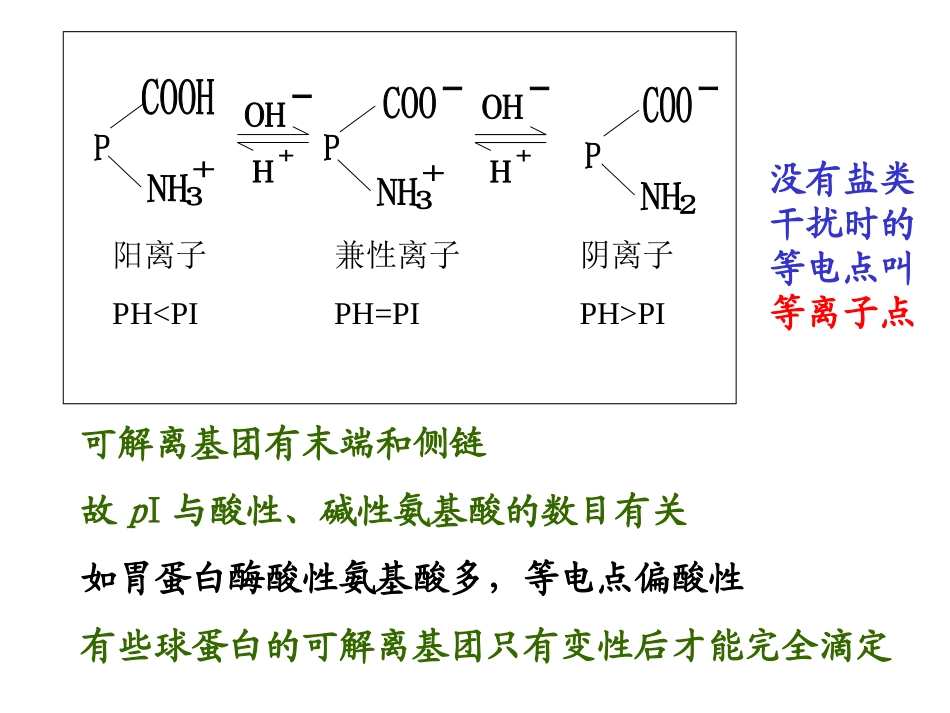 盐析沉淀蛋白质时_第3页