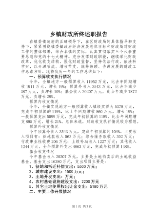 乡镇财政所终述职报告