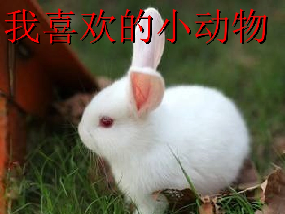 二年级下册五单元写话描写小动物_第1页