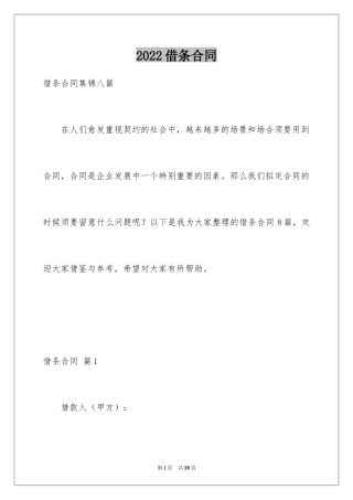 2024借条合同_13