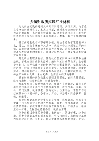 乡镇财政所实践汇报材料
