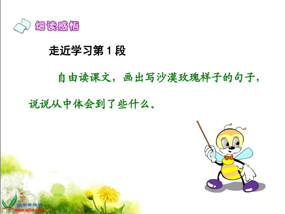 沙漠玫瑰_课件_第3页