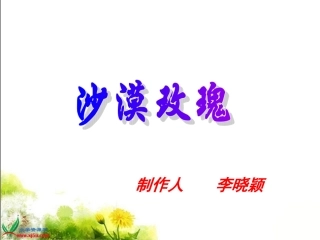 沙漠玫瑰_课件