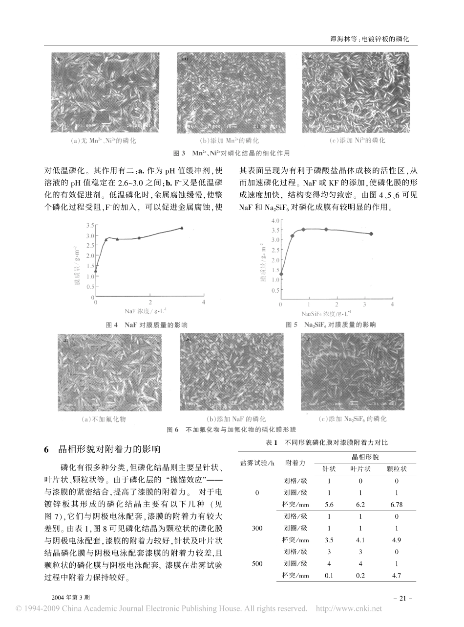 电镀锌板的磷化_第3页
