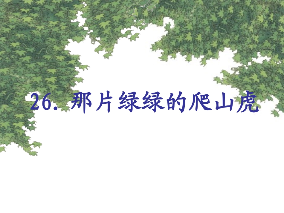 那片绿绿的爬山虎8 (2)_第1页