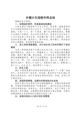 乡镇计生迎检年终总结