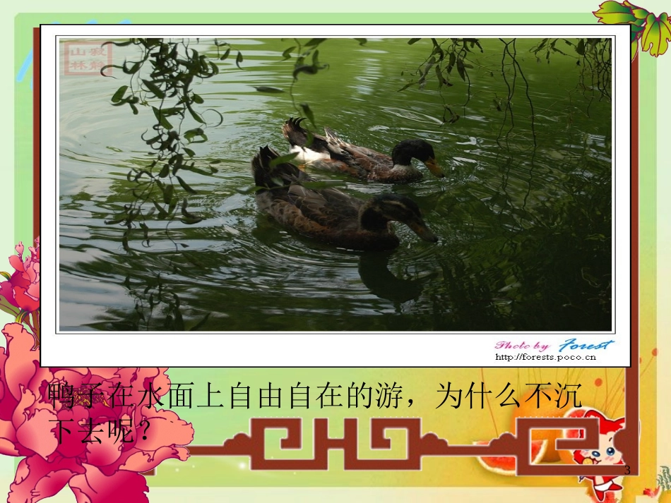 《101浮力》课件_第3页