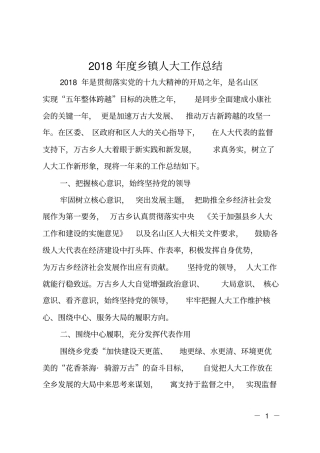 2018年乡镇人大工作总结