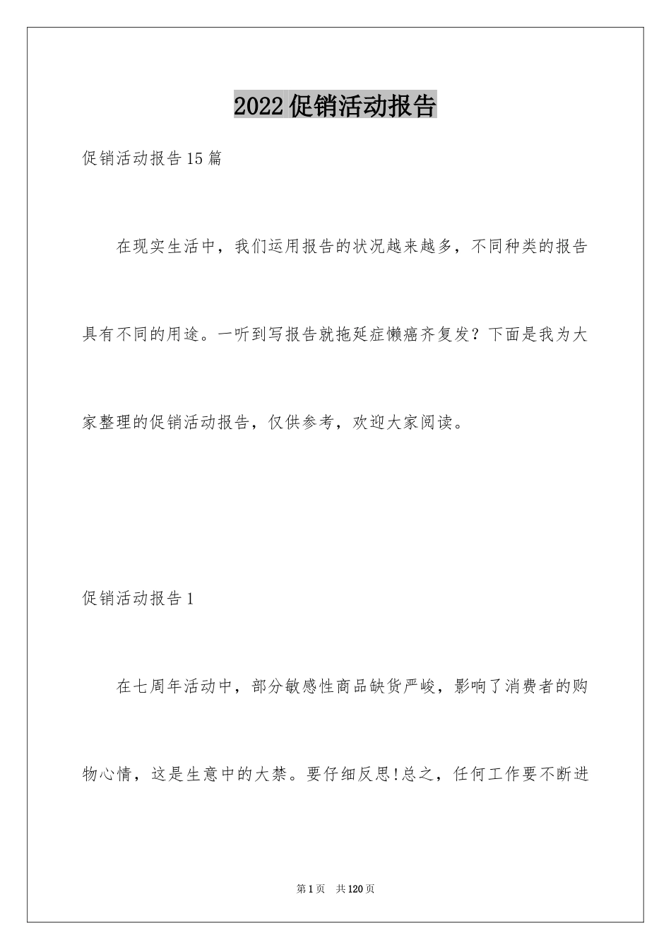 2024促销活动报告_3_第1页