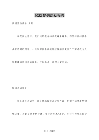 2024促销活动报告_3