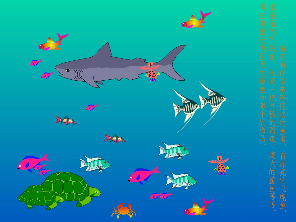 小学三年级语文上册课件-富饶的西沙群岛23_第3页