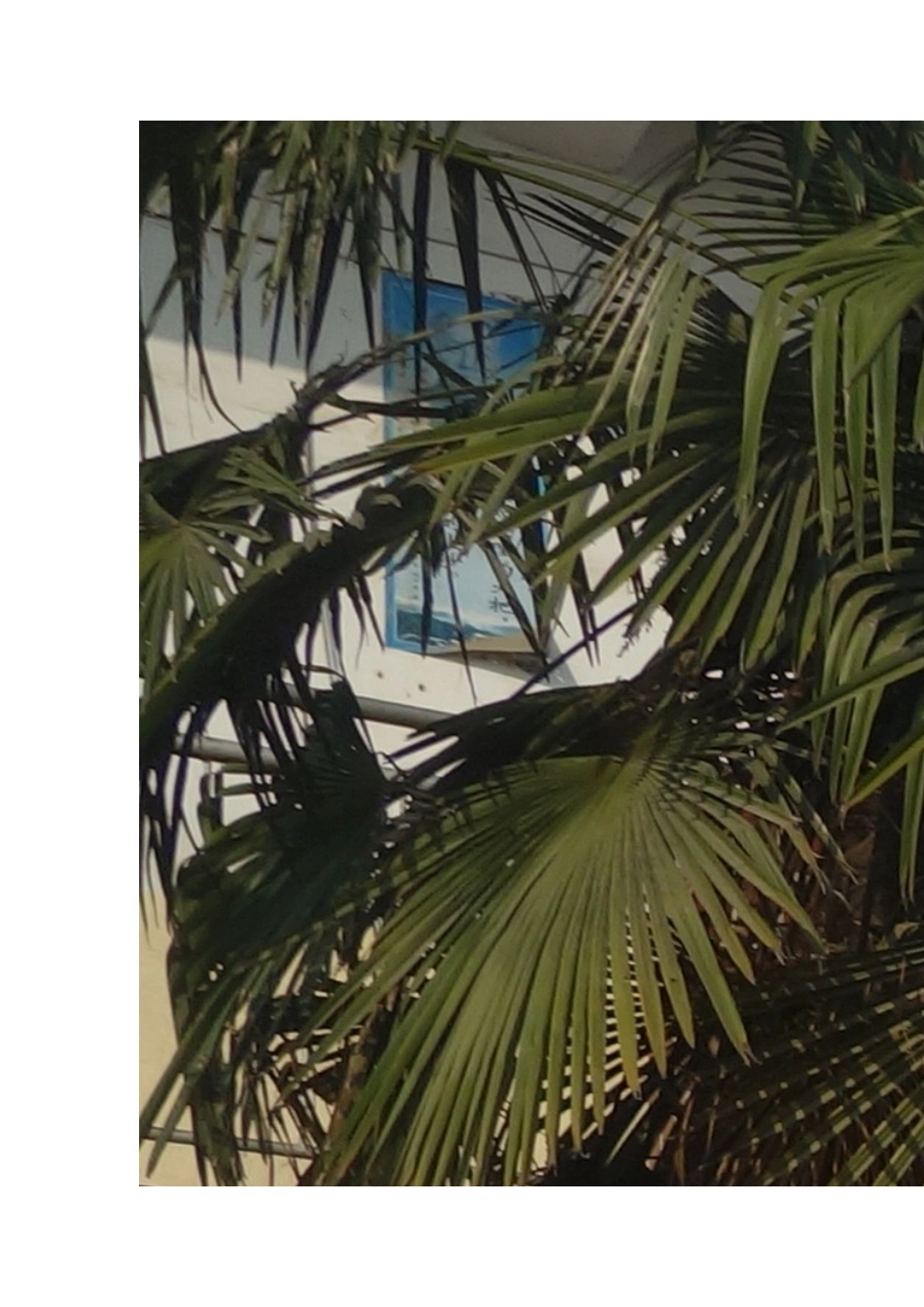 为了更好地让学生理解与自己学习_第3页
