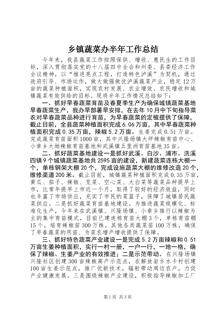 乡镇蔬菜办半年工作总结_第1页