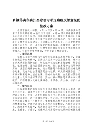 乡镇落实市委扫黑除恶专项巡察组反馈意见的整改方案