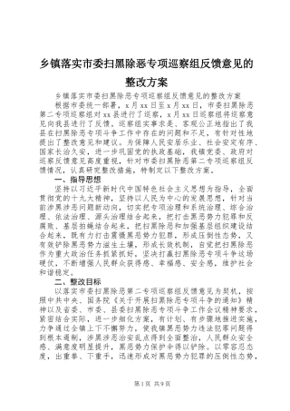 乡镇落实市委扫黑除恶专项巡察组反馈意见的整改方案 (2)