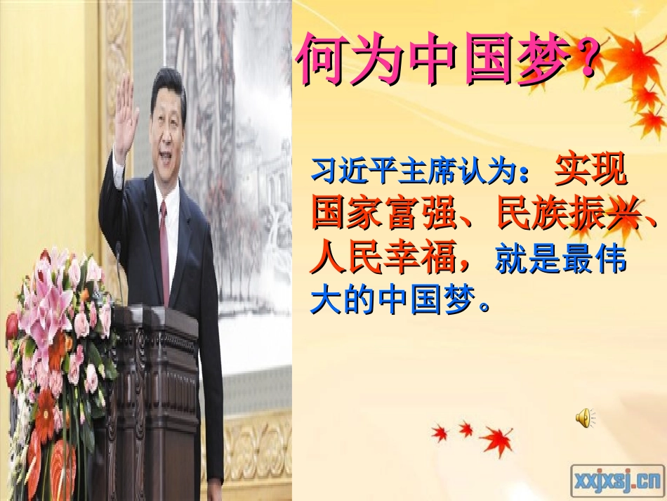 杨白杨我的中国梦)_第3页