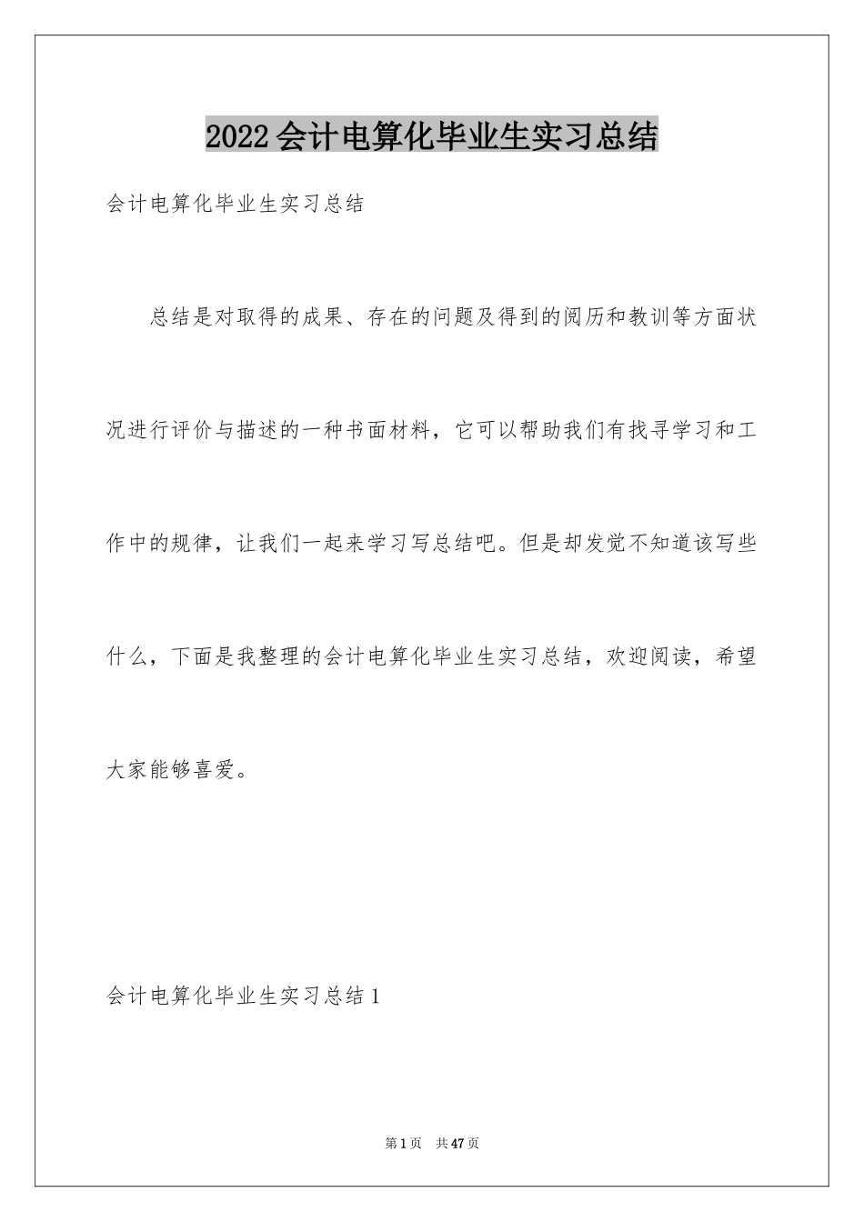 2024会计电算化毕业生实习总结_第1页