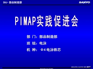 电泳PIMAP