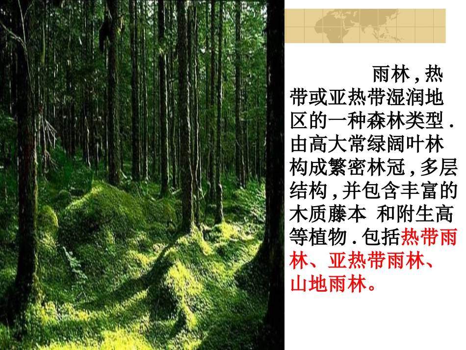 《雨林的毁灭——世界性灾难》正式版_第3页