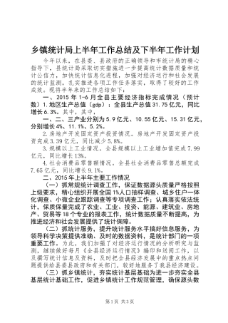 乡镇统计局上半年工作总结及下半年工作计划 (2)