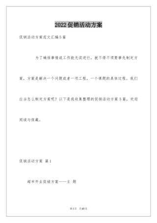 2024促销活动方案_217