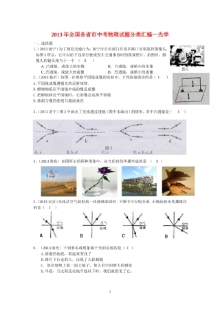 2013初中物理光学试题汇编