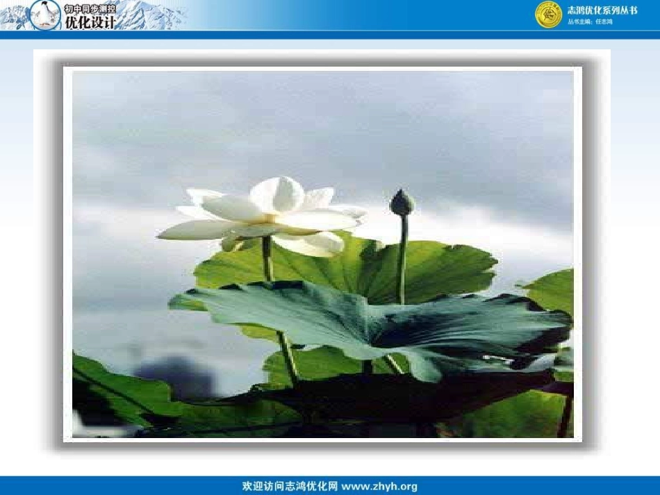 爱莲说 (2)_第2页