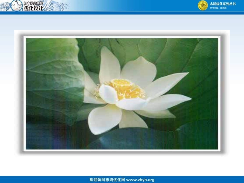 爱莲说 (2)_第3页