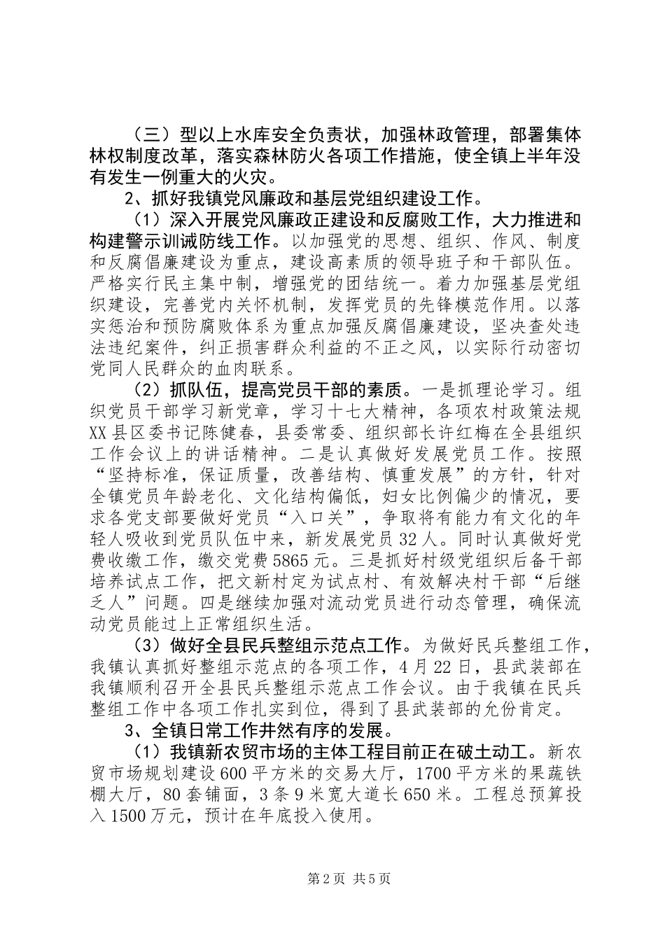 乡镇经济建设上半年总结_第2页