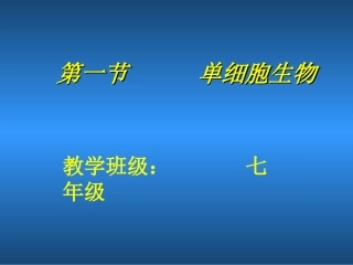 单细胞生物(公开课)