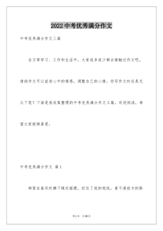 2024中考优秀满分作文_13