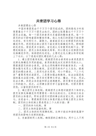 共青团学习心得_5