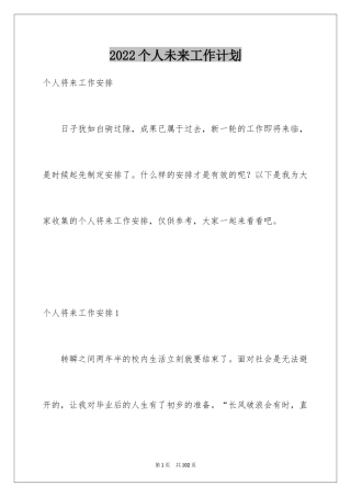 2024个人未来工作计划