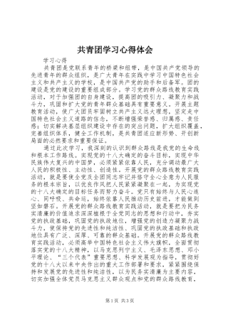 共青团学习心得体会_5