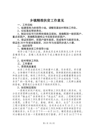 乡镇精准扶贫工作意见