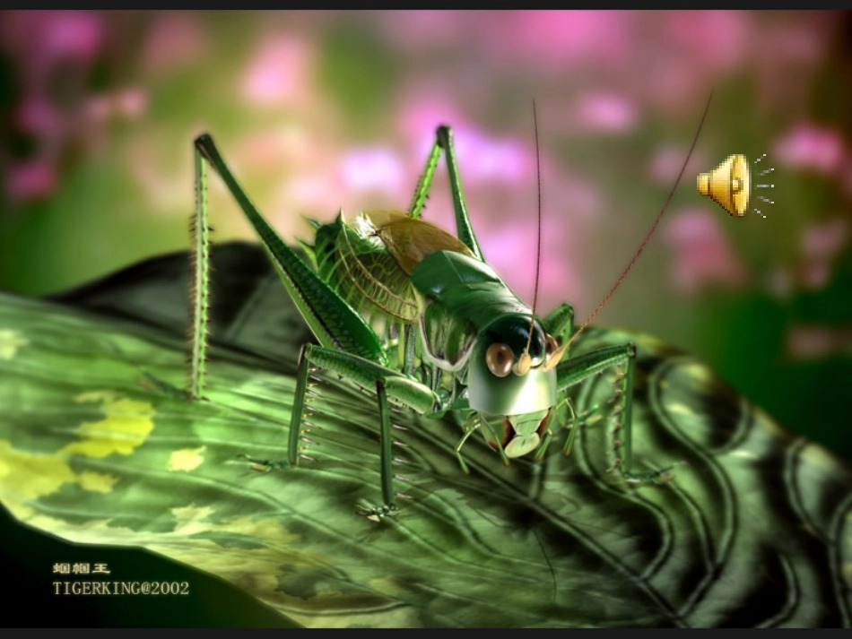 绿色蝈蝈课件新_第1页