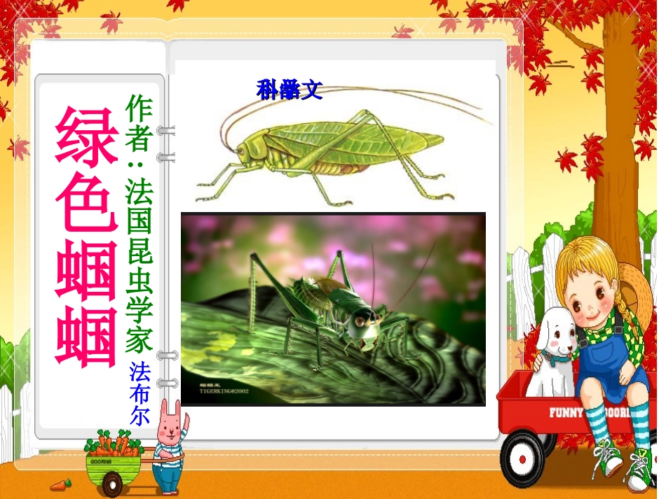 绿色蝈蝈课件新_第2页