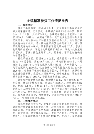 乡镇精准扶贫工作情况报告