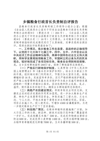 乡镇粮食行政首长负责制自评报告