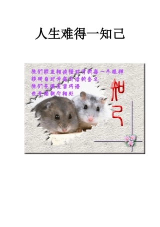 人生难得一知己