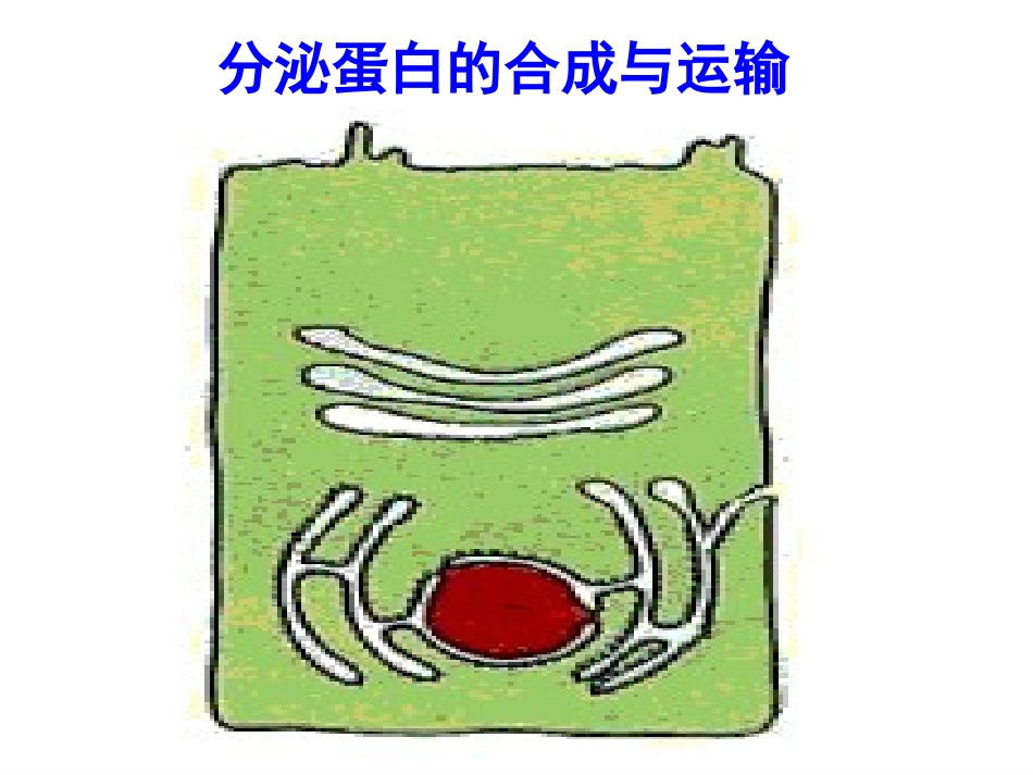 细胞核系统的控制中心_第2页