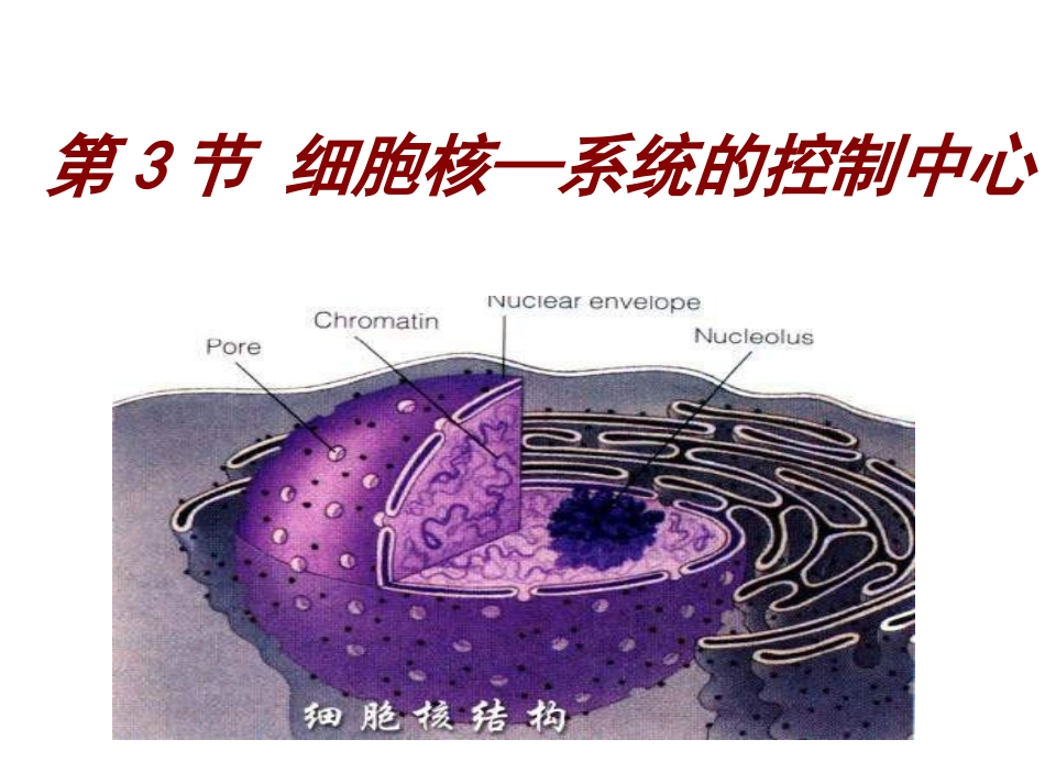 细胞核系统的控制中心_第3页