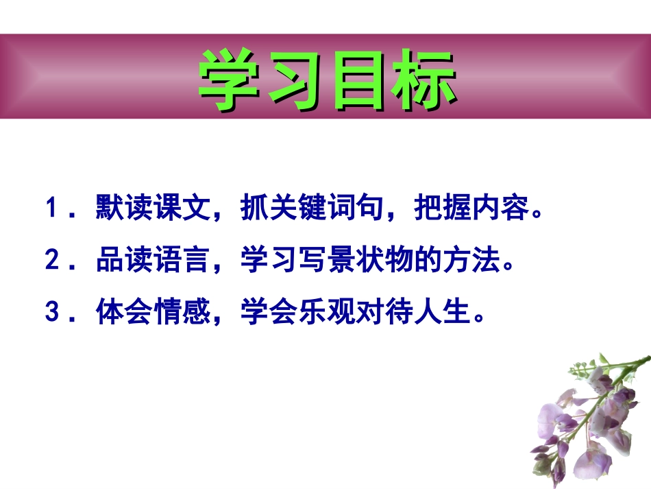 《紫藤萝瀑布》课件 (2)_第2页